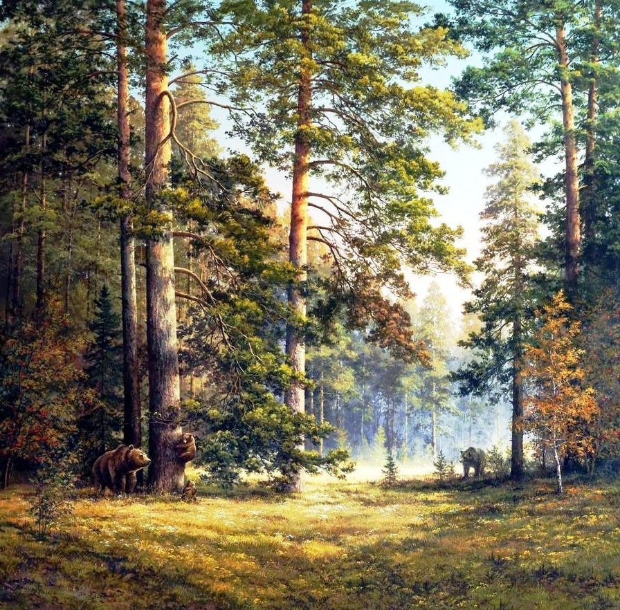Раннее утро - природа, сосны, медведи, лес, пейзаж - оригинал