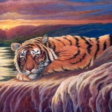 Схема вышивки «Tigre.»