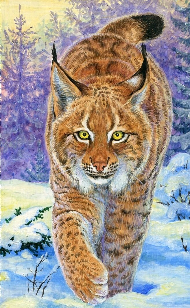 Lince. - animais, pintura. - оригинал