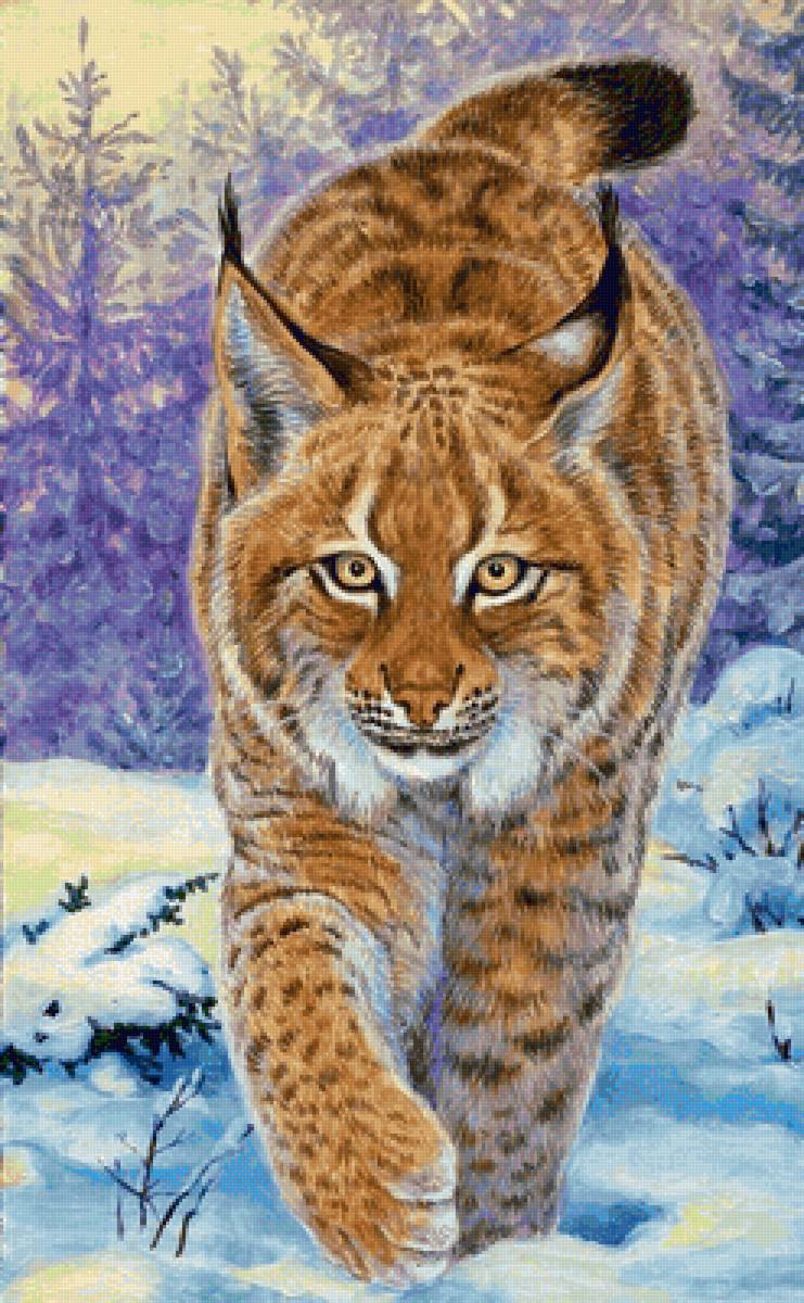 Lince. - pintura., animais - предпросмотр