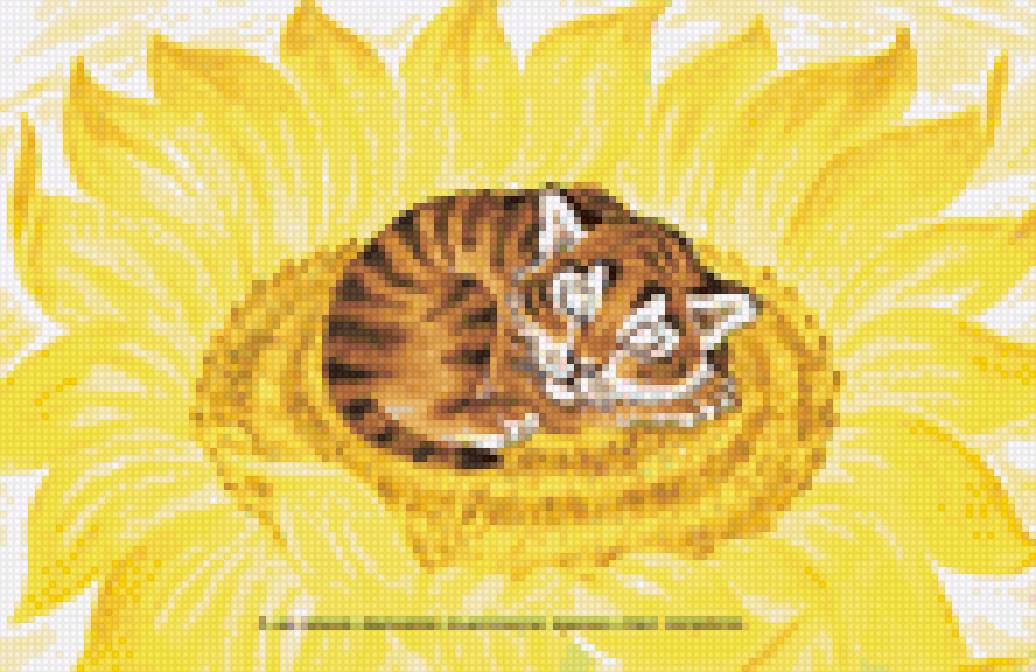 тигренок на подсолнухе - тигренок, подсолнух - предпросмотр