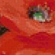Предпросмотр схемы вышивки «Маки» (№2315010)