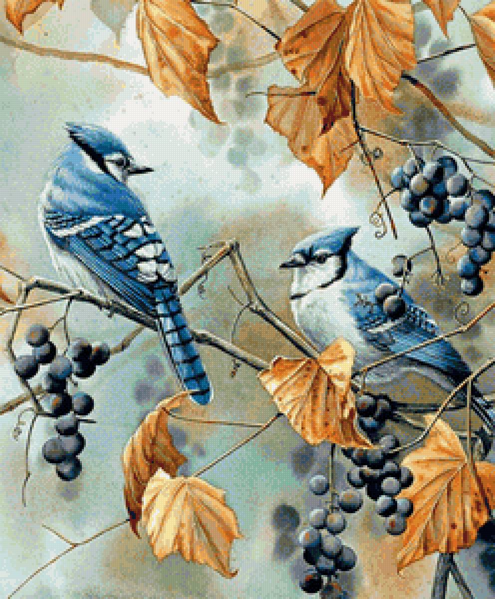 птицы - птицы - предпросмотр