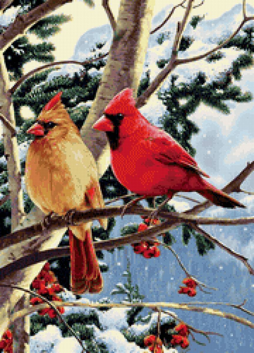 птицы - птицы - предпросмотр