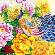 Схема вышивки «pavone e peonie»