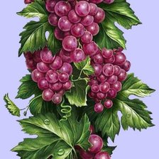 Схема вышивки «Виноград»