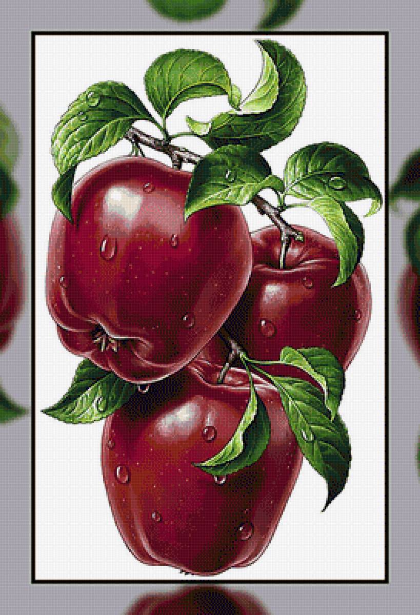 №2315375 - предпросмотр