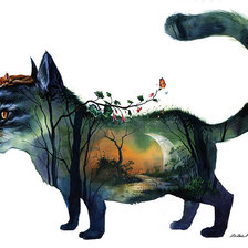 сказки зазак намоо