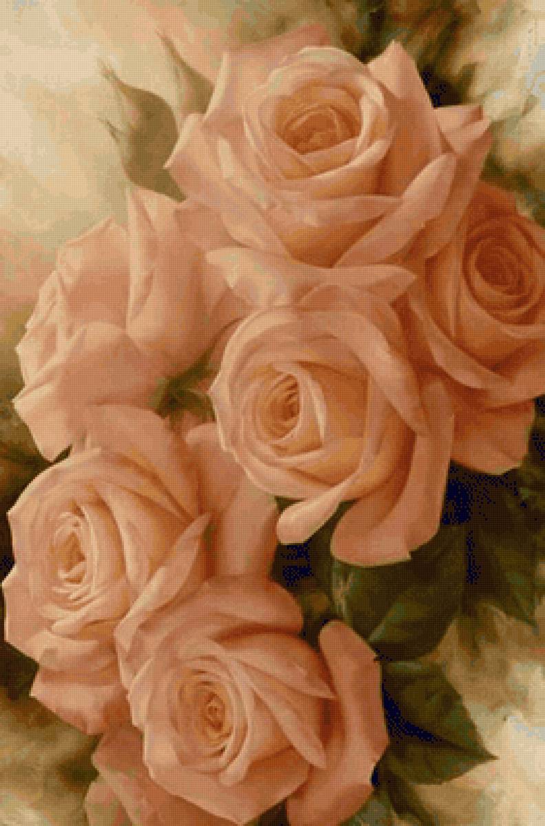 Розы - предпросмотр