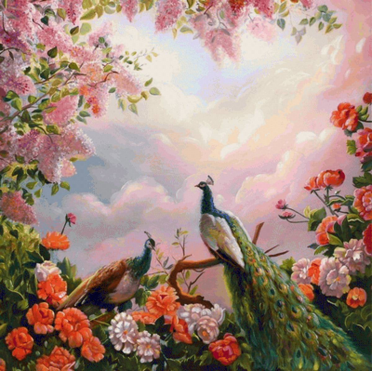 Павлины - предпросмотр