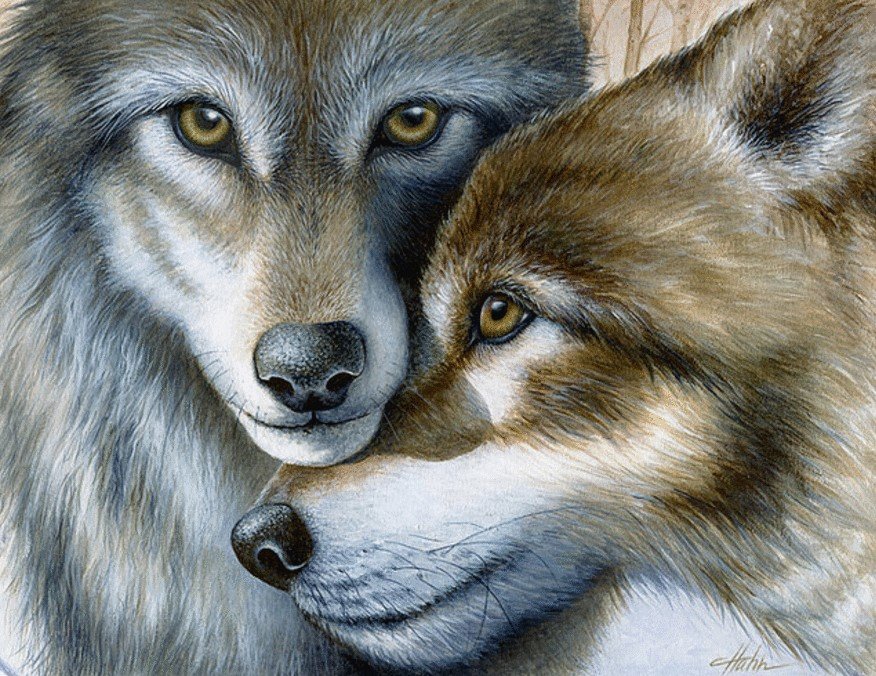 Волчья преданность - семья, преданность, волк, животные - оригинал