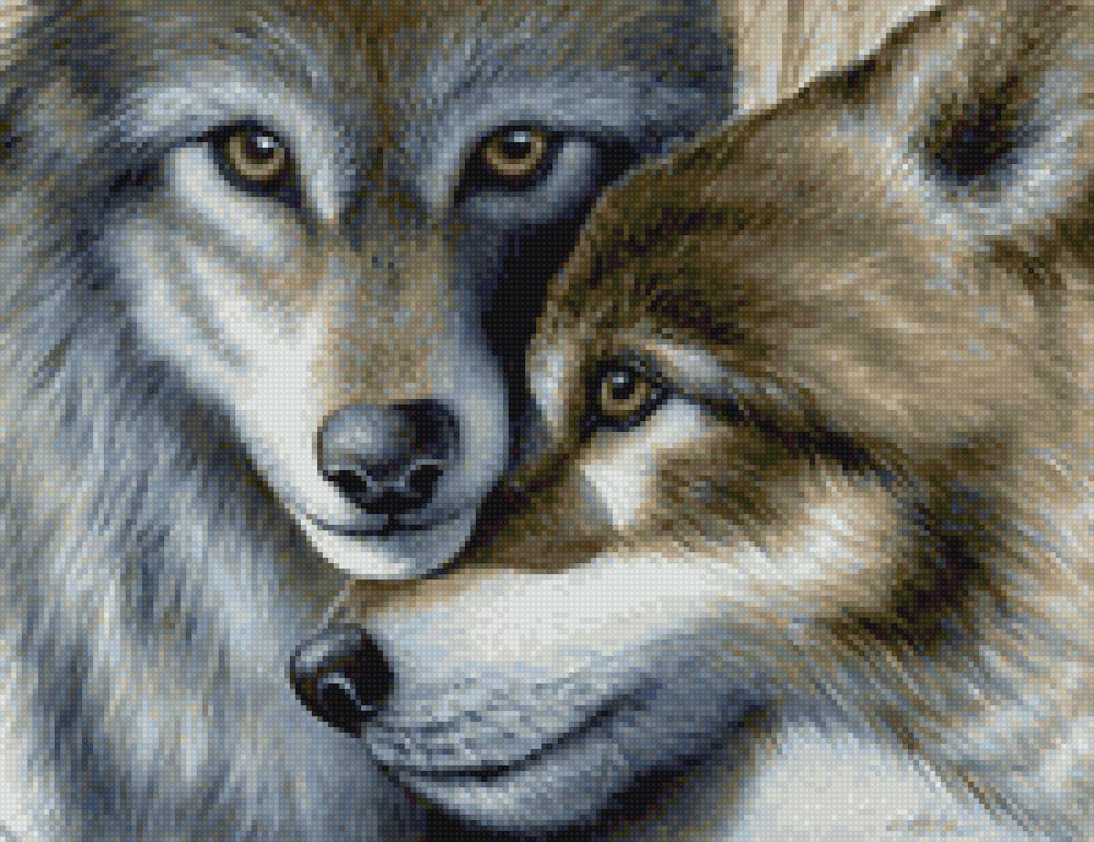 Волчья преданность - семья, животные, волк, преданность - предпросмотр