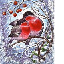 СНЕГИРИ ЗИМОЙ