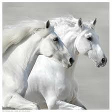 Оригинал схемы вышивки «Белые лошади» (№2315703)