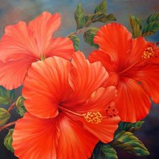 Схема вышивки «Гибискус»