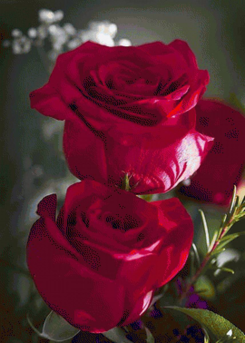 flori - предпросмотр