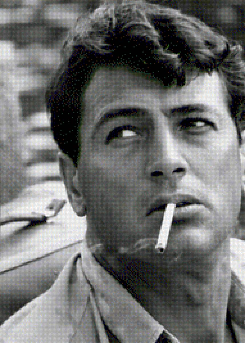 Rock Hudson monocolor - предпросмотр