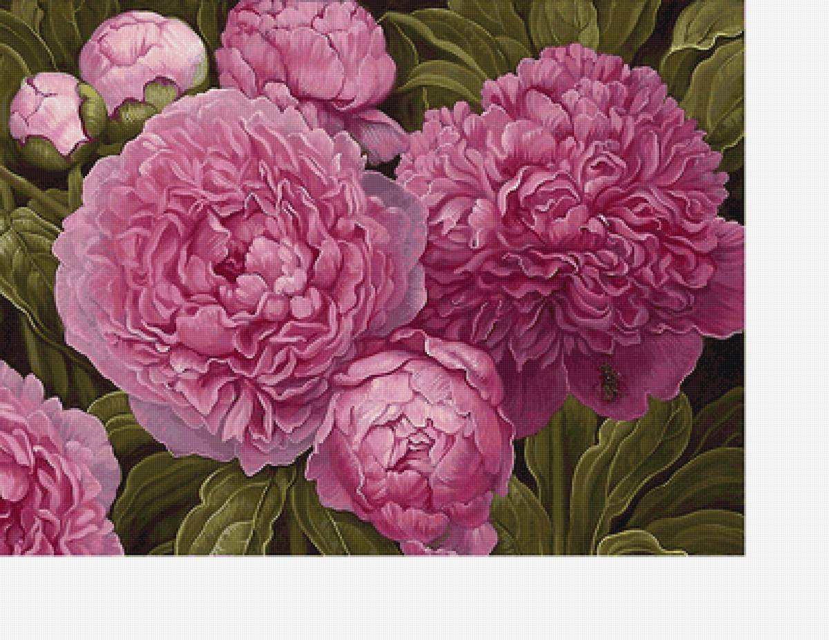 359х268 - предпросмотр