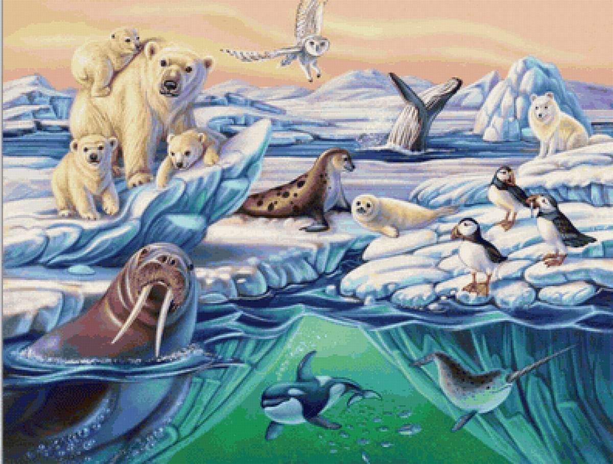 clima frio - mar - предпросмотр