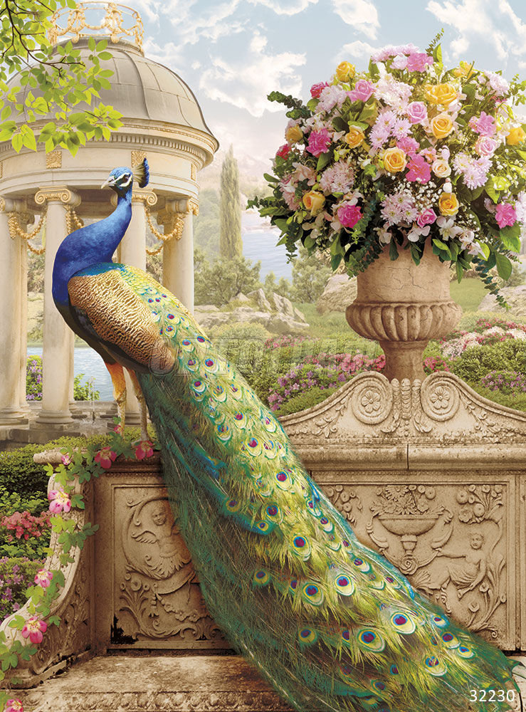 павлин - павлин - оригинал