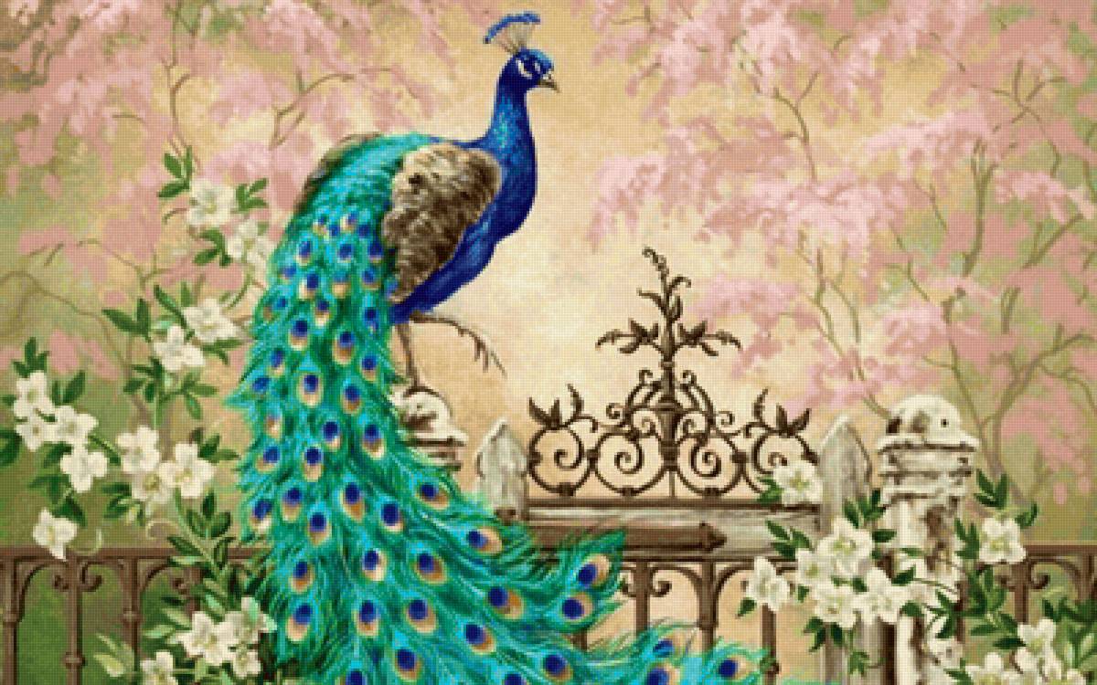 павлин - павлин, цветы - предпросмотр