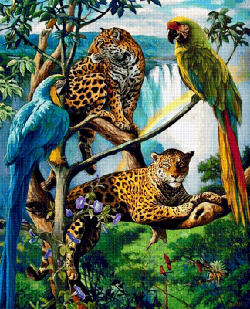 Descanso de la tarde - gatos - предпросмотр