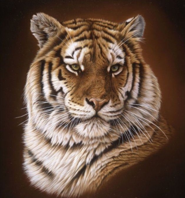 Тигр - оригинал