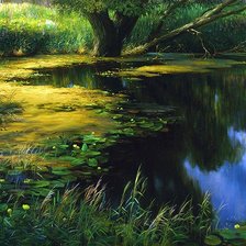 Схема вышивки «пруд»