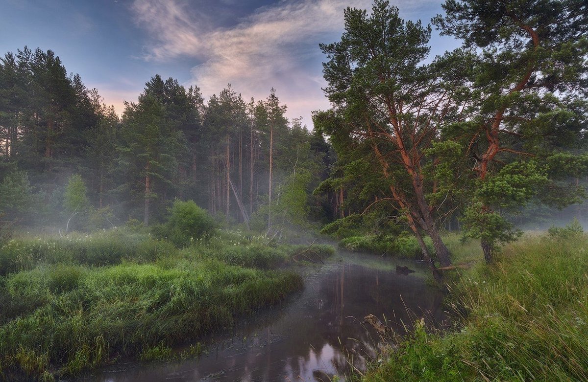 туман - оригинал