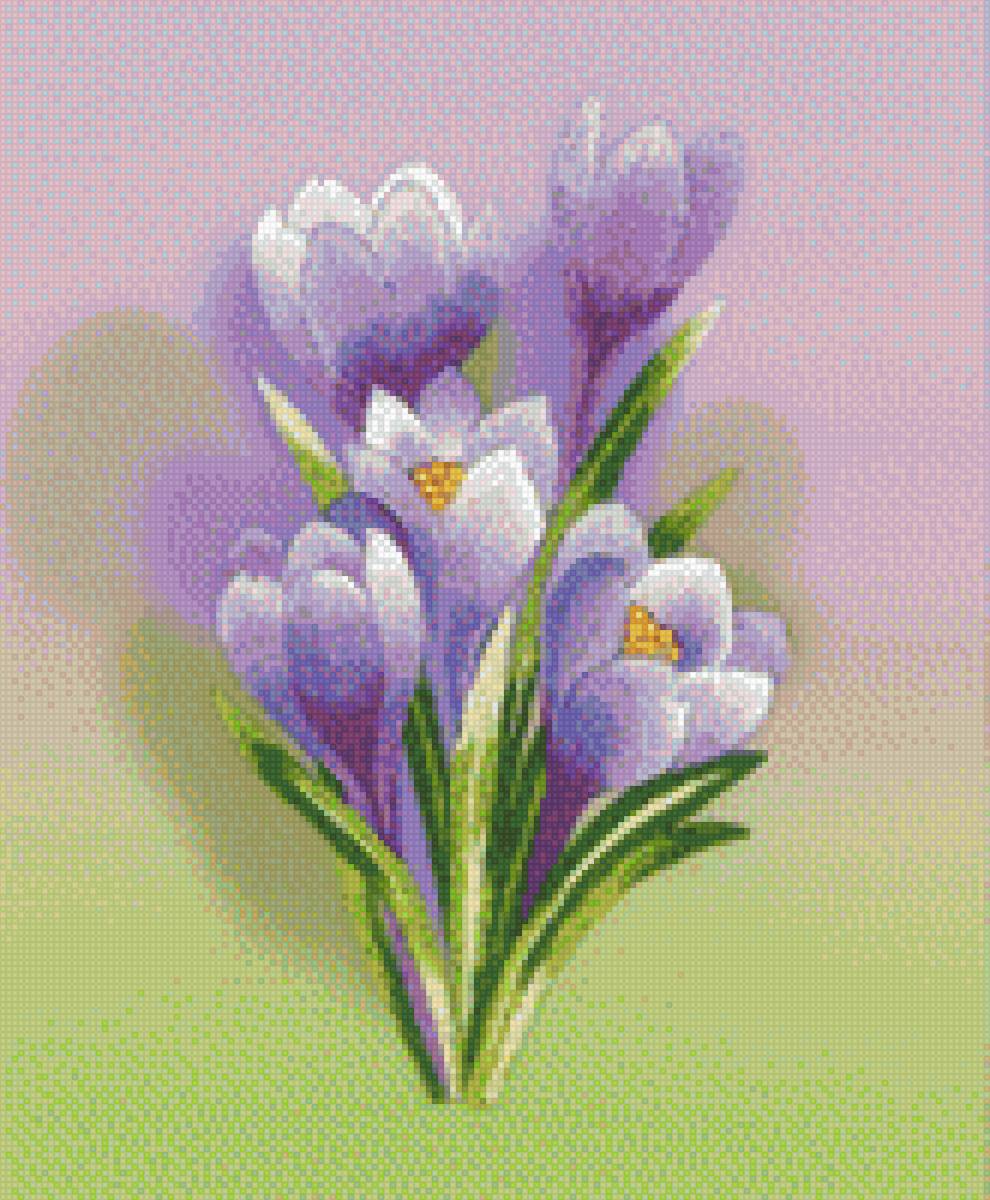 крокусы - denecs - предпросмотр