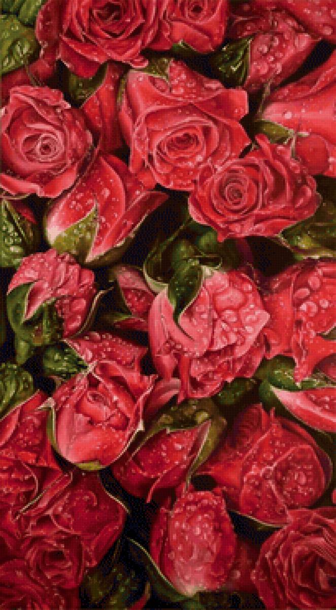 Красные розы в росе - цветы, роса, живопись, розы - предпросмотр