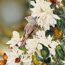 Схема вышивки «Цветущая магнолия»