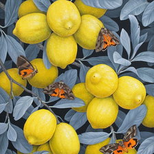 Оригинал схемы вышивки «Лимоны и бабочки» (№2317678)