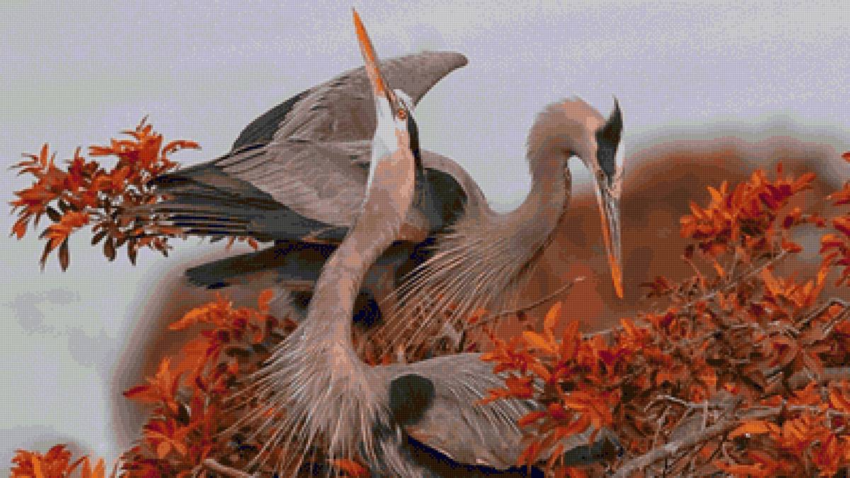 Осень.Птицы. - пара, осень, дерево, птицы, желтый - предпросмотр