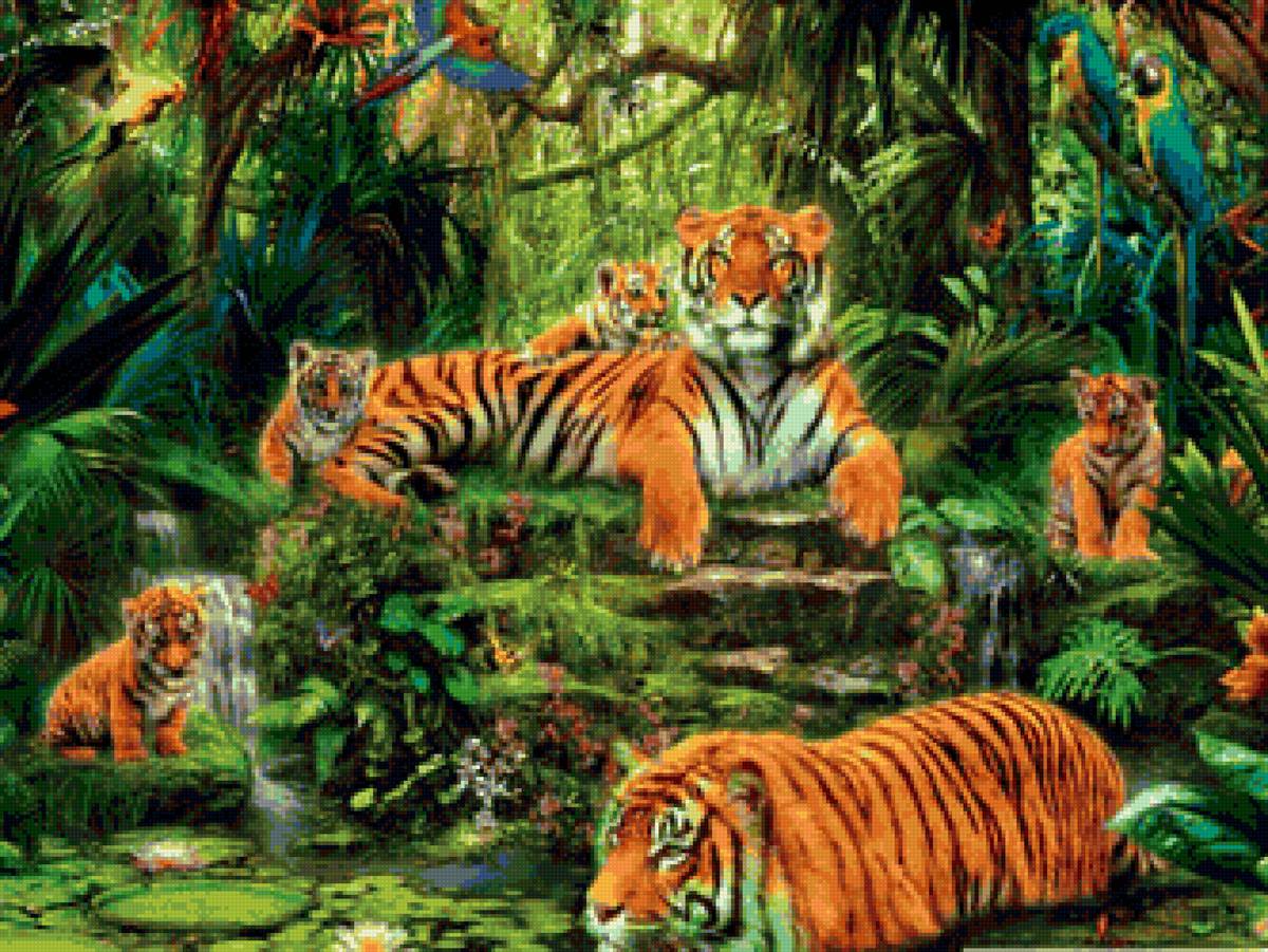 Тигры в джунглях - попугаи, джунгли, тигры - предпросмотр