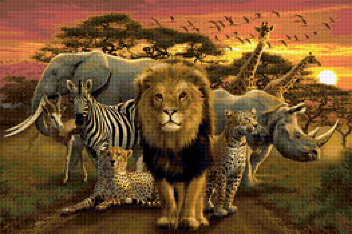 Африканские животные - лев, жираф, африка, носорог, животные, слон, солнце - предпросмотр