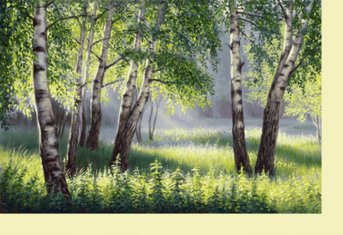 №2318257 - березы, пейзаж - предпросмотр