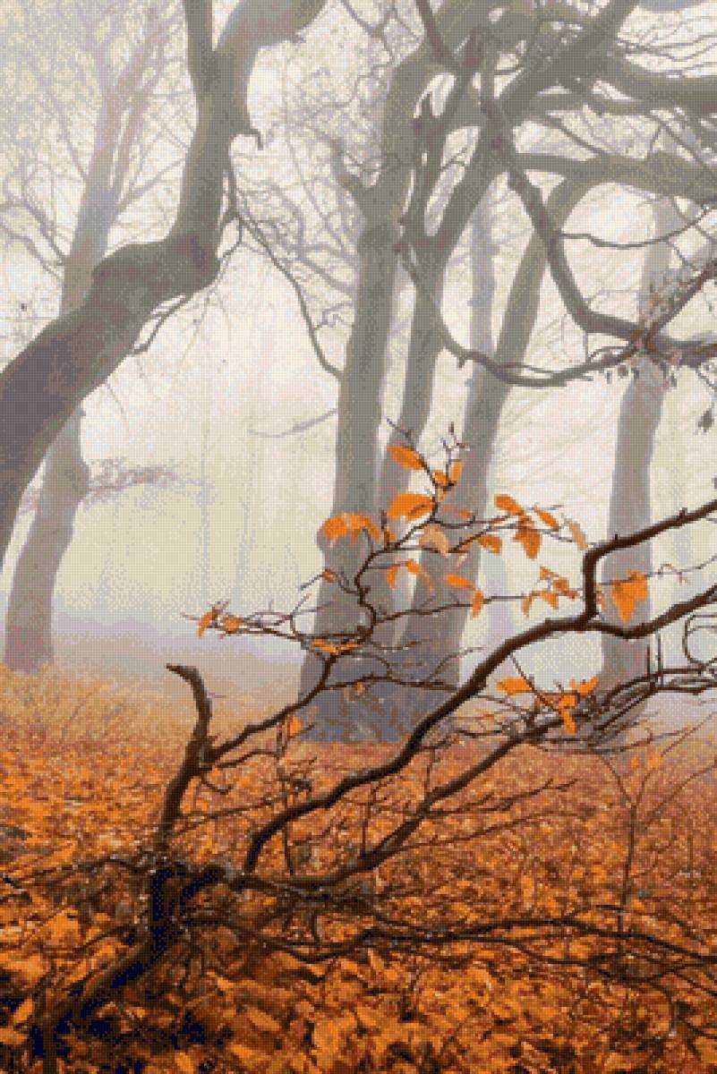 Осенний туман. - осень, лес, туман, пейзаж, листья, желтый - предпросмотр