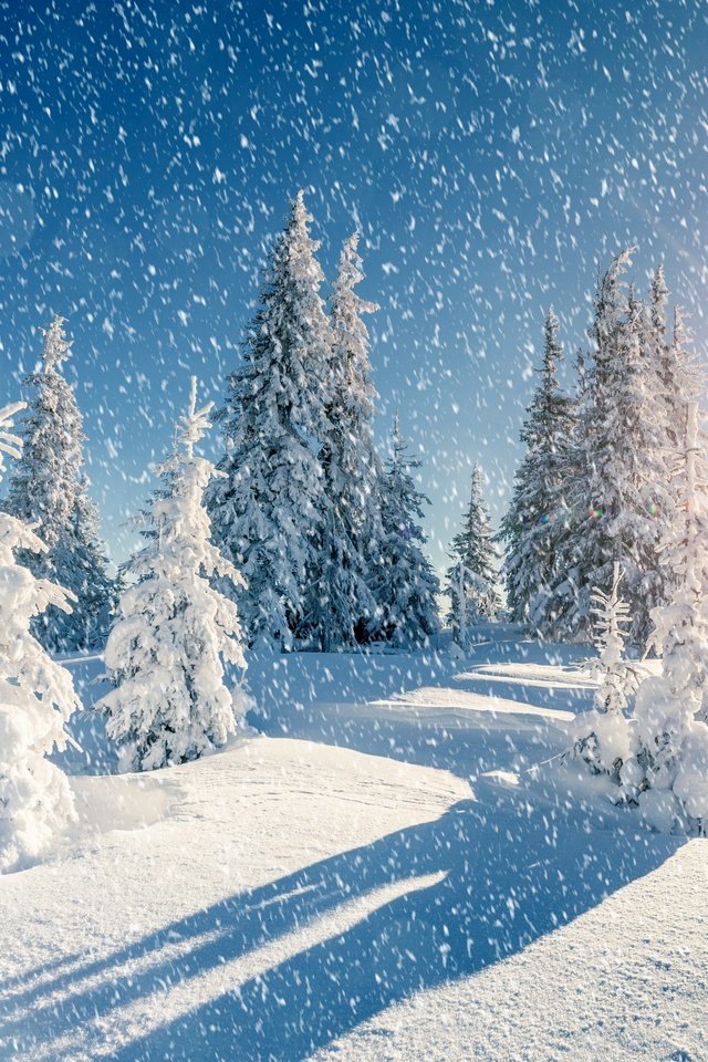 №2318779 - оригинал