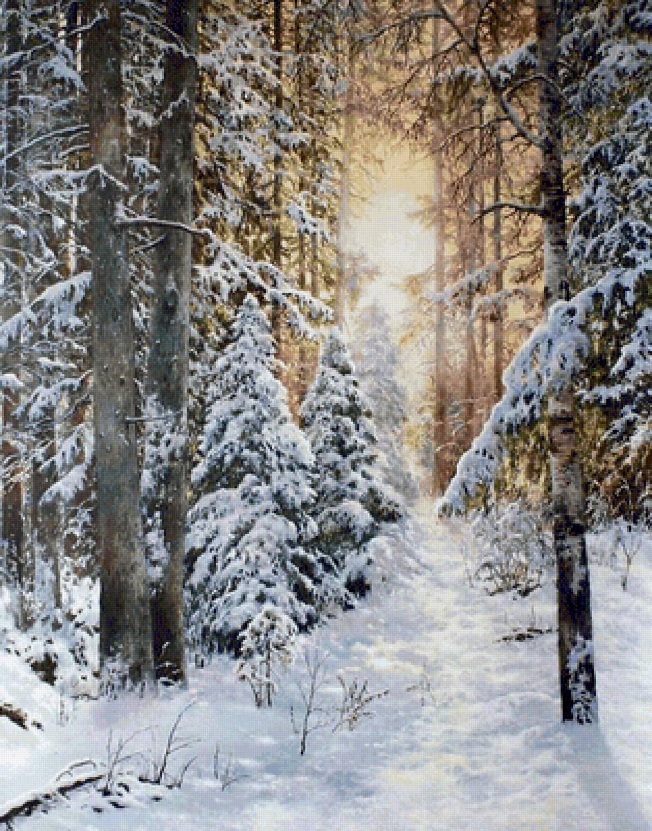 Зимний лес - зима - предпросмотр