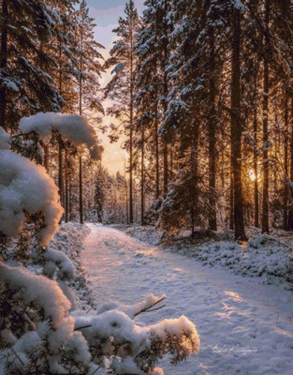 Лес - природа - предпросмотр