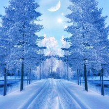 Схема вышивки «№2318855»