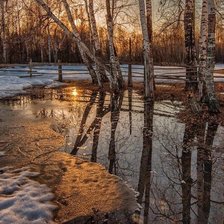 Схема вышивки «природа»