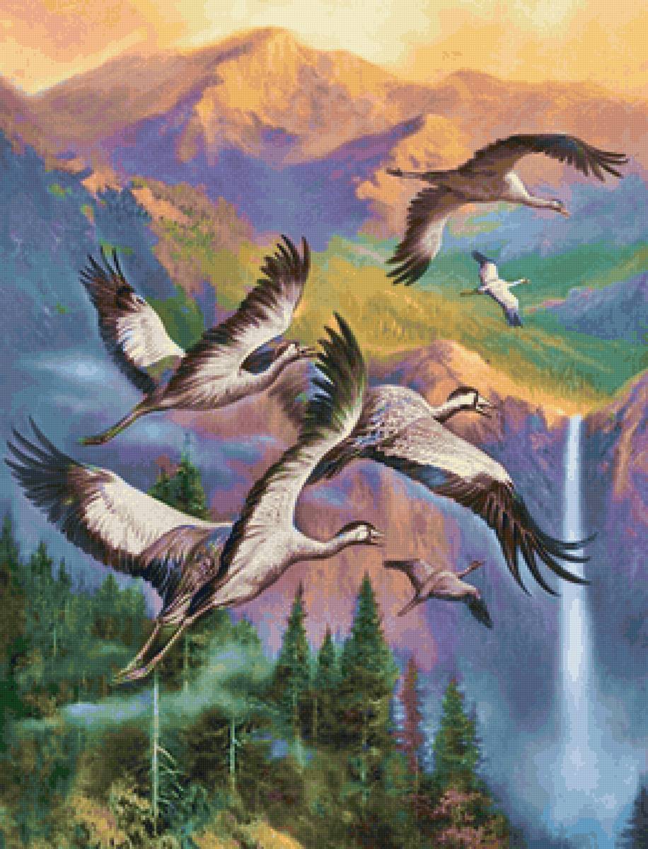 Pássaros. - paisagens, pássaro - предпросмотр