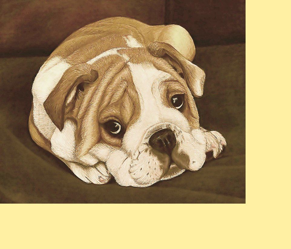 Серия "Собаки" - собака, животные - оригинал