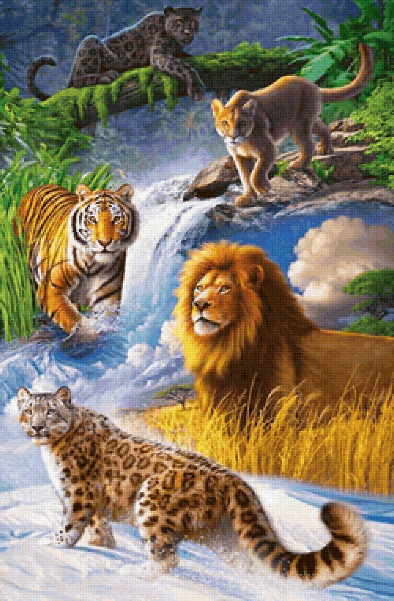 кошачьи - предпросмотр