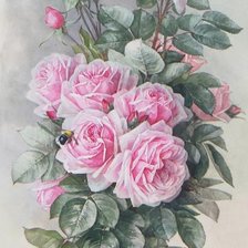 Оригинал схемы вышивки «Аромат роз» (№2319822)