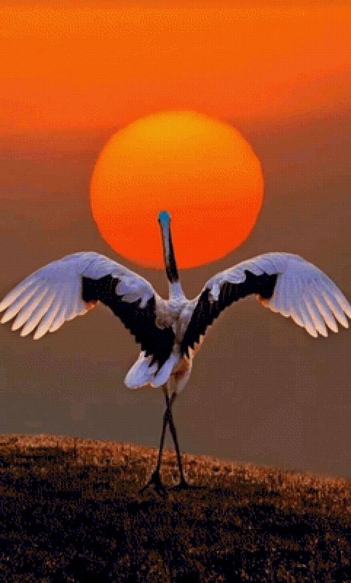 Закат - журавель, закат, солнце - предпросмотр