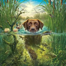 Схема вышивки «№2320179»