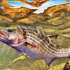 Схема вышивки «Peixes.»